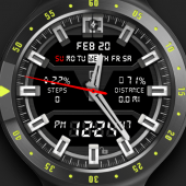 Shield Watch Face