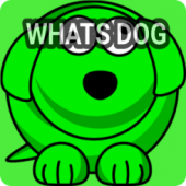 Whatsdog Last Seen