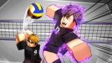 Volleyball Legends Taichou guide